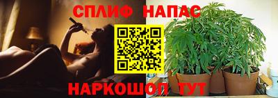 гидра Сланцы