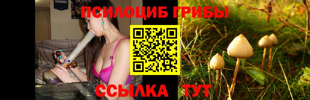Псилоцибиновые грибы мухоморы Советская Гавань